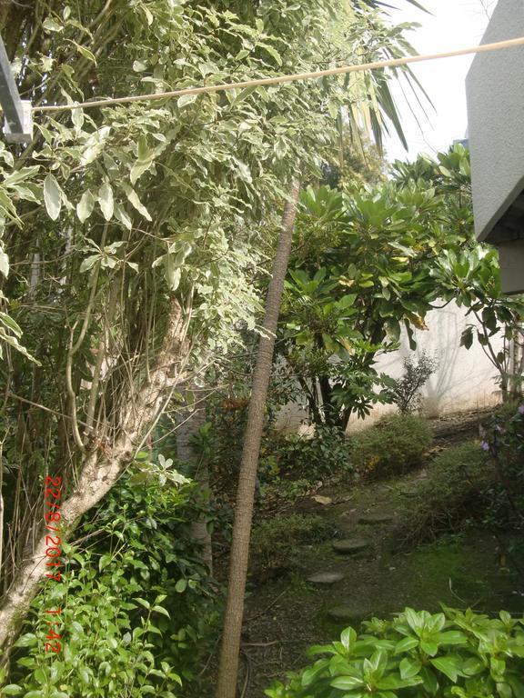 أوكلاند The Haven B & B المظهر الخارجي الصورة
